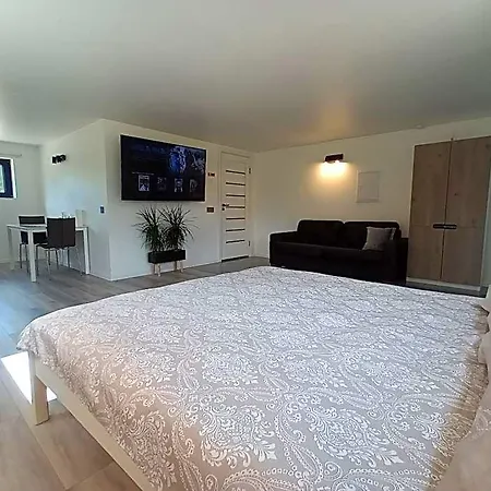 Apart-hotel Luxury Private House And Parking Netflix Tartu