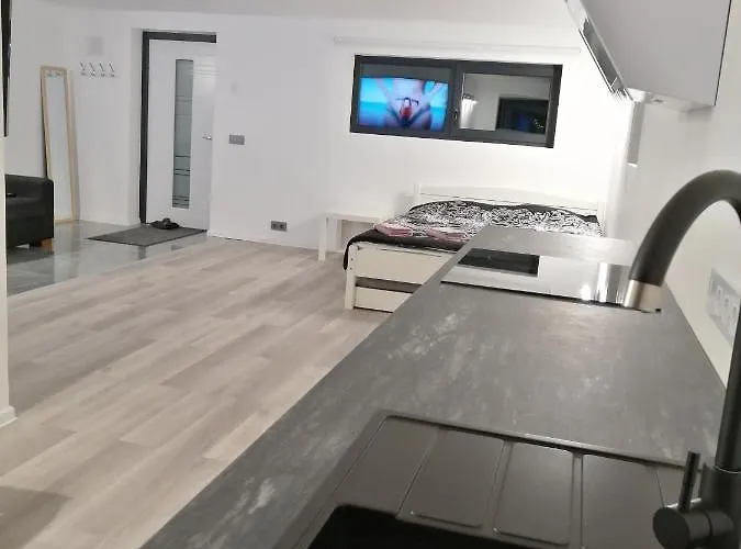 Luxury Private House And Parking Netflix Tartu