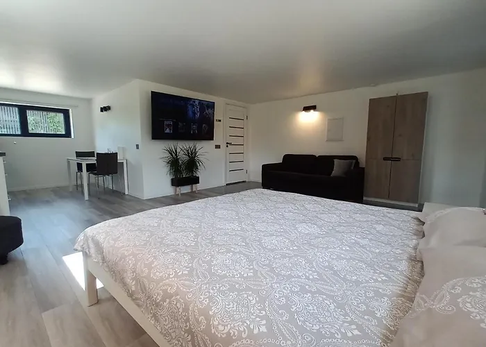 Aparthotel Luxury Private House And Parking Netflix 3*