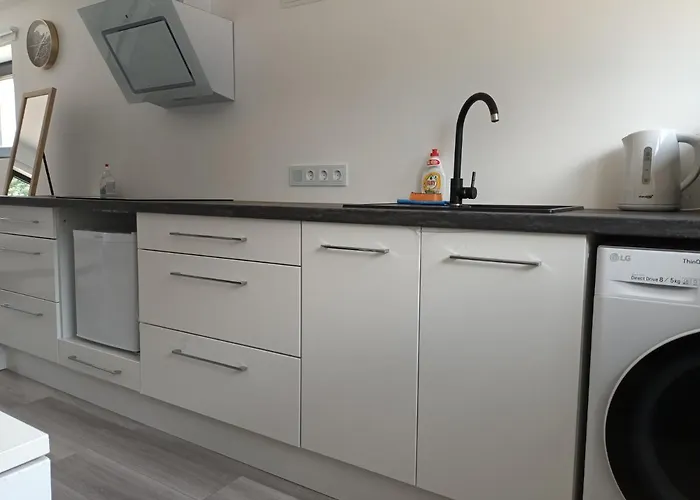 Luxury Private House And Parking Netflix Aparthotel Tartu